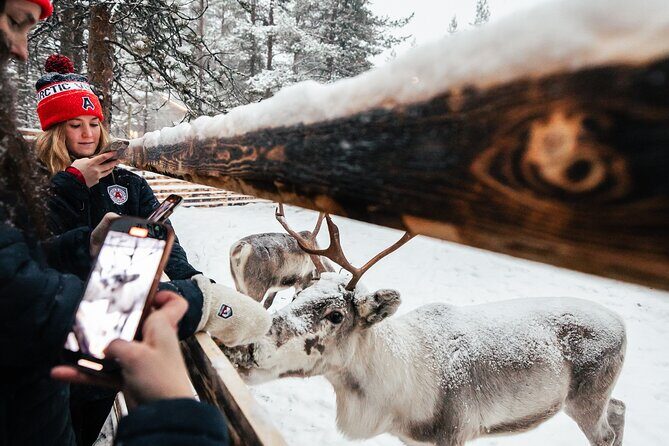 1 Day Pass Lapland Winter Park in Rovaniemi - Optional Extras: Saunas, Motorized Activities, and Meal Planning
