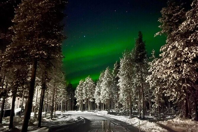 1 Day Pass Lapland Winter Park in Rovaniemi - Who This Works Best For (and when to rethink it)