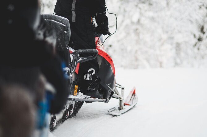1 Hour Easy Snowmobile Safari in Levi - Price and value in a 1-hour Lapland day