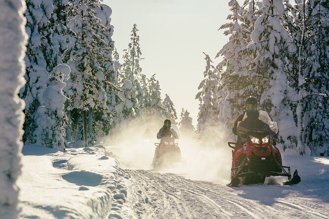 1 Hour Easy Snowmobile Safari in Levi - Families, kids, and height rules that actually matter