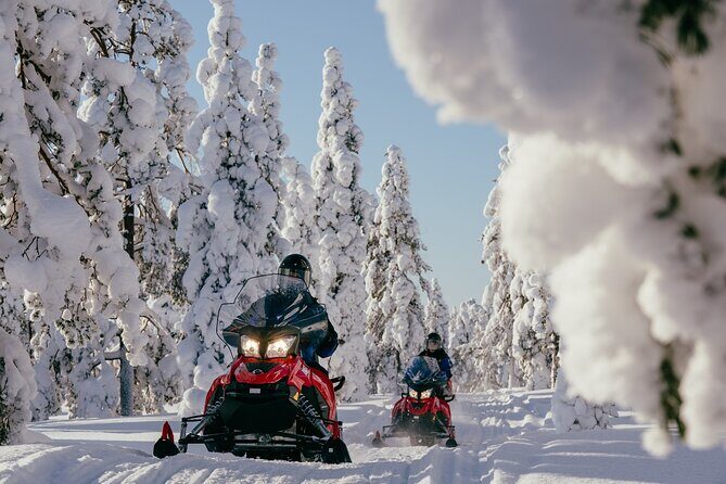 1 Hour Easy Snowmobile Safari in Levi - Driving vs. riding in the sleigh: who can do what