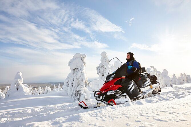 1-Hour Snowmobile Safari Adventure in Rovaniemi - Meeting at Wild About Lapland: The Start Point That Keeps It Simple