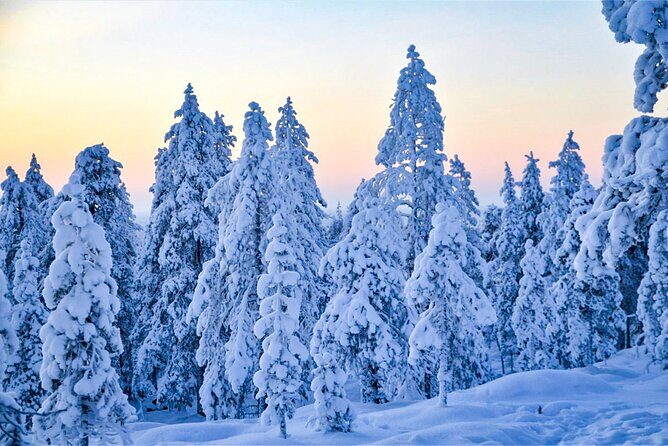 1-Hour Snowmobile Safari Adventure in Rovaniemi - How the Group Size Changes Your Experience (Max 8)