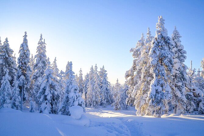 1-Hour Snowmobile Safari Adventure in Rovaniemi - Gear Provided: You’ll Be Warm Enough to Enjoy the Ride