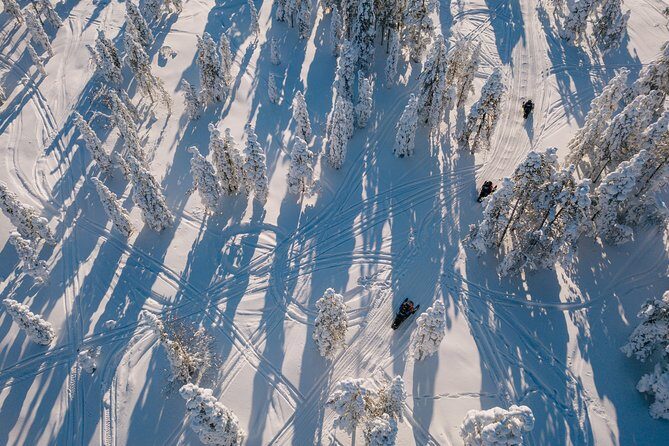 1-Hour Snowmobile Safari Experience - Shared Snowmobiles, Kids in Sleds, and How Pairs Work