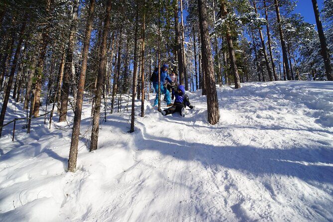 10 km Authentic Husky Safari in the Taiga Forest – Family Kennel - Quick Highlights You’ll Feel Right Away