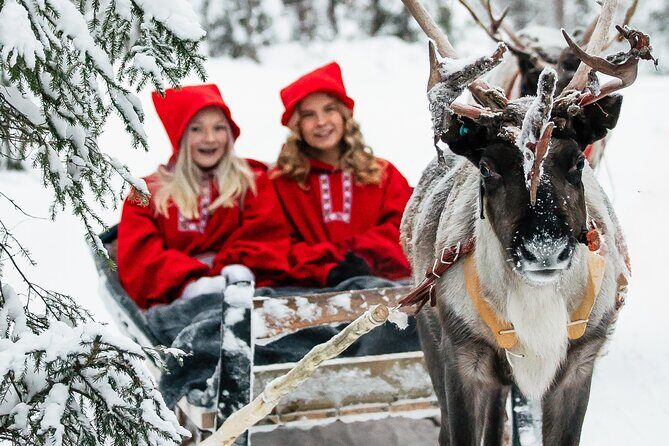 2km Sleigh Ride & Feeding Experience at Traditional Reindeer Farm - Key Highlights You’ll Actually Feel