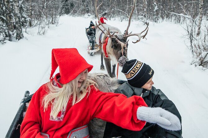 2km Sleigh Ride & Feeding Experience at Traditional Reindeer Farm - The Sleigh Ride: 2km of Quiet, Motion, and Pure Lapland Vibes
