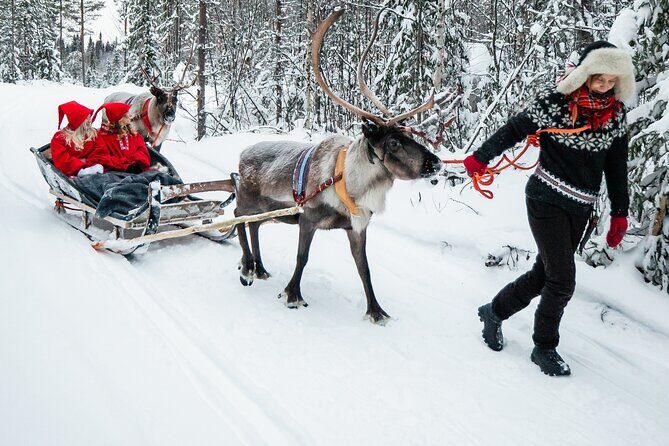 2km Sleigh Ride & Feeding Experience at Traditional Reindeer Farm - Feeding and Interaction: Up Close With Reindeer, Not Just From Afar