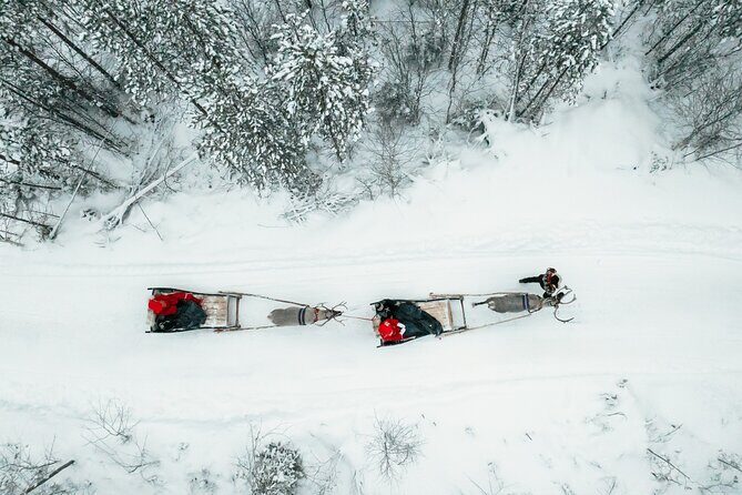2km Sleigh Ride & Feeding Experience at Traditional Reindeer Farm - Small-Group Comfort: Why Max 10 Changes Everything