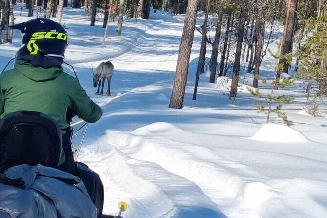 3 Days Raid Snowmobile in Finnish Lapland - Should You Book This 3-Day Raid Snowmobile Tour?