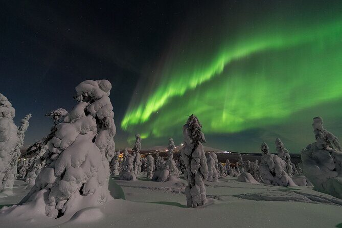 3-h Northern Light Safari by Snowmobiles From Levi - A 3-hour aurora safari that balances riding and waiting