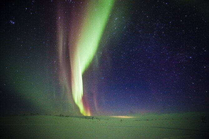 3-h Northern Light Safari by Snowmobiles From Levi - Family-friendly winter fun, with rules for kids and passengers
