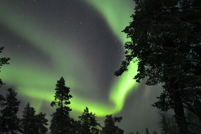 3-Hour Snowmobile Safari to Search Northern Lights in Levi - The fire-side snack stop: more than just a meal break