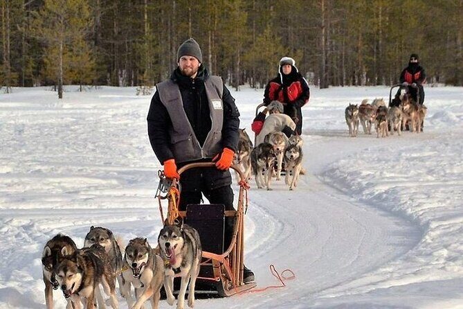 5KM Husky Sled Ride from Levi - Safety briefing and guidance: how much control you really get