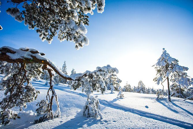 All Day Snowmobile Driving - Groups and comfort: why small-group guidance changes everything