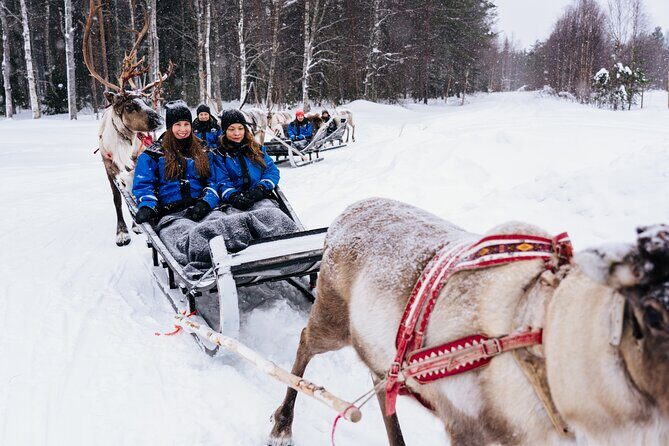 Apukka Reindeer Journey - Group size, English guidance, and how the experience moves