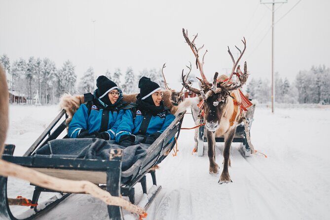 Apukka Reindeer Journey - Who this suits best (and who should think twice)