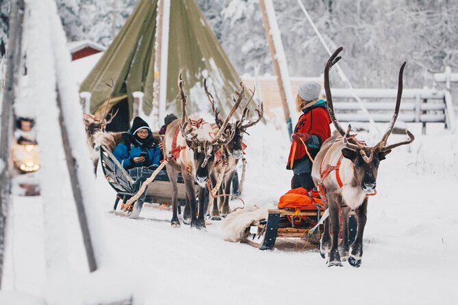 Apukka Reindeer Journey - Tips to make the day smoother (without overthinking it)