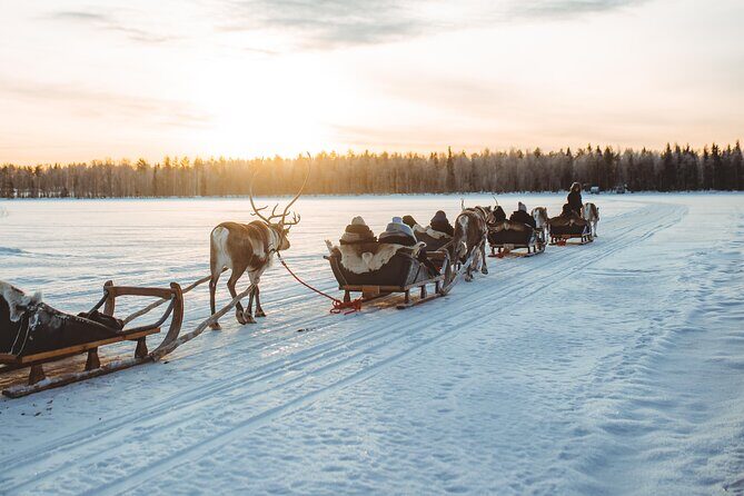 Apukka Reindeer Journey - The sleigh ride: snowy forest quiet, scenic pacing, and lap blanket comfort