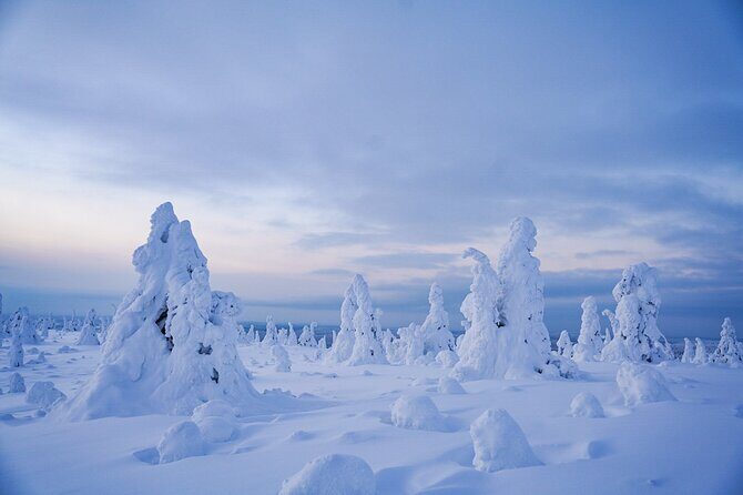Arctic Adventure through Magical Frozen Forests of Riisitunturi - Key Things to Know Before You Go
