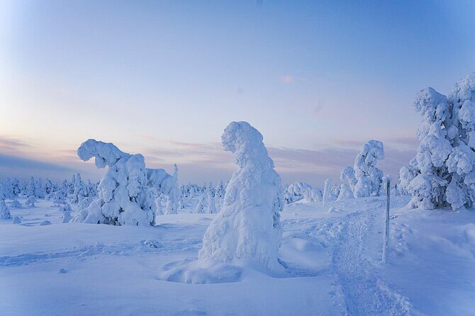 Arctic Adventure through Magical Frozen Forests of Riisitunturi - The Two-Hour Arctic Drive: Getting “In the Mood” Early