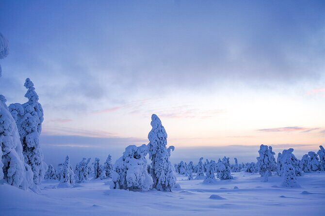 Arctic Adventure through Magical Frozen Forests of Riisitunturi - Winter Gear Included: Why It’s a Bigger Deal Than People Think