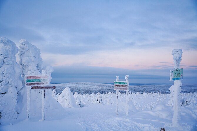 Arctic Adventure through Magical Frozen Forests of Riisitunturi - Campfire Snack Break: The Warm-Up That Makes the Day Feel Complete