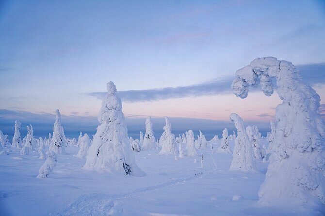 Arctic Adventure through Magical Frozen Forests of Riisitunturi - Weather Reality Check: When Snow Isn’t Perfect