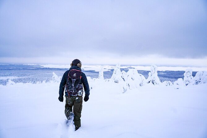 Arctic Adventure through Magical Frozen Forests of Riisitunturi - The 4-Kilometre Hike: Comfort, Pace, and What You’re Actually Doing
