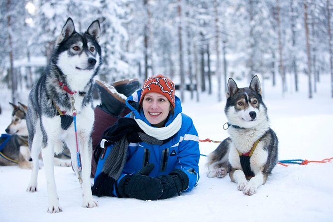 Arctic Circle Family Day - What This Arctic Circle Family Day Really Delivers