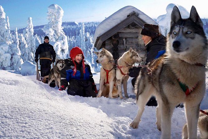 Arctic Circle Family Day - Should You Book Arctic Circle Family Day?