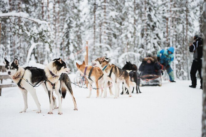Arctic Circle Highlights Family Day - Stop 1 in Rovaniemi: where the day turns into pure winter fun