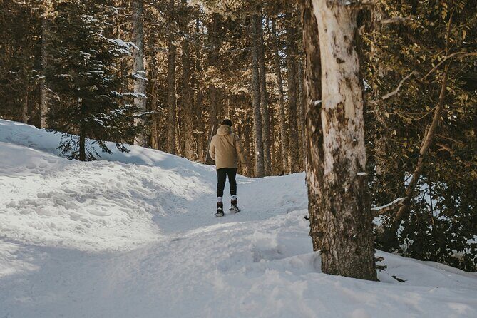 Arctic Darkness & Starlight Adventure with Snowshoes - What You Get Included (and How That Adds Value)