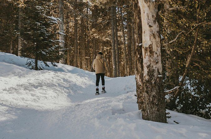 Arctic Darkness & Starlight Adventure with Snowshoes - Cold-Weather Reality Check: Winter Clothing Is on You
