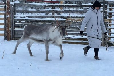 Arctic Reindeer Farm Experience with Snowshoeing in the Wild - Getting to the wilderness lake near Levi (and why the drive is part of it)
