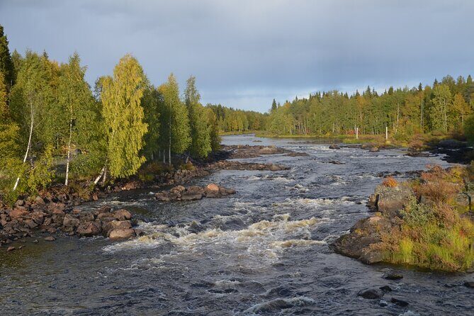 Arctic Wilderness Hike with Fire-making - Rovaniemi Arctic Hiking With Survival Skills, Not Just Scenery