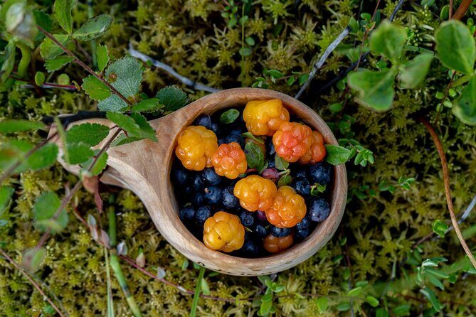 Arctic Wilderness Hike with Fire-making - What the Hike Really Feels Like: Gentle, Guided, and Built for Conditions