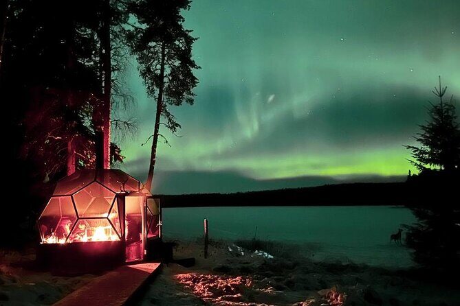 Aurora Borealis Dinner in a Glass Igloo - The glass igloo experience in Lapland Forest: what it feels like