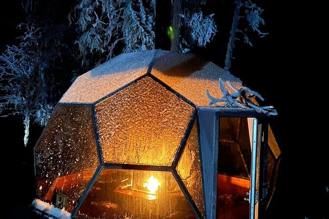 Aurora Borealis Dinner in a Glass Igloo - Who this tour suits (and who should think twice)