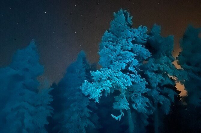 Aurora Borealis Dinner in a Glass Igloo - Guide Father and the northern lights chase: why guidance matters