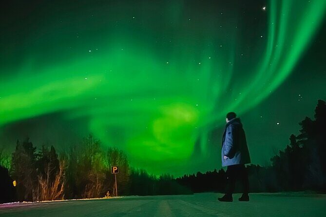 Aurora Hunt with BBQ in Rovaniemi - Quick highlights worth your time