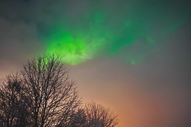 Aurora Hunt with BBQ in Rovaniemi - 8:00 pm Pickup and the Santa Claus Village connection