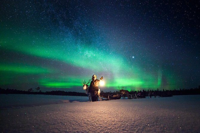Aurora Hunting by Reindeer Sleigh - Rovaniemi Pickup and the 18:00–20:00 Start Window