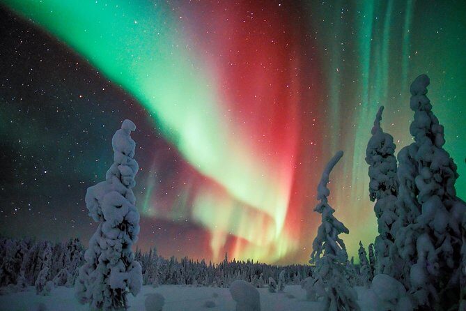 Auroras - Northern Lights Tours by Aurora Experts - Rovaniemi - Pickup, 9:00 pm start, and what a 5 to 6 hour night feels like