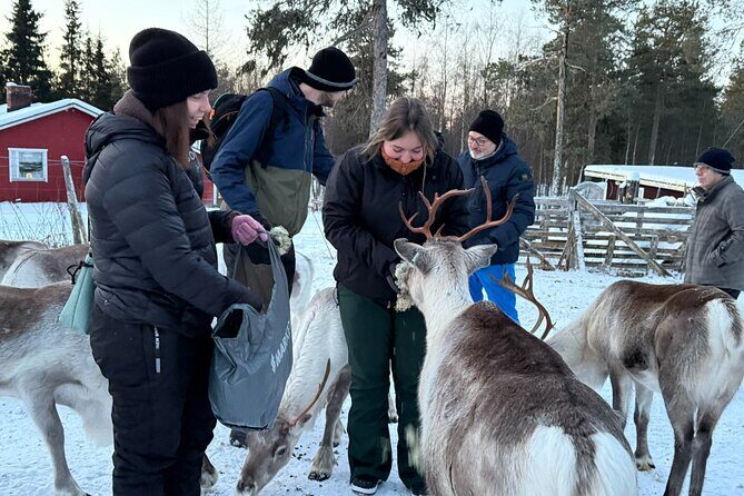 Authentic Reindeer Experience and Ice Fish with Lunch in the Wild - Price and Value: Does $254.85 Make Sense for This Day?