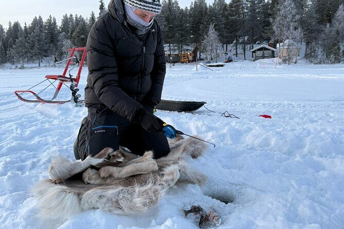 Authentic Reindeer Experience and Ice Fish with Lunch in the Wild - Reindeer at Lompolo: Up Close With Lapland Winter Life