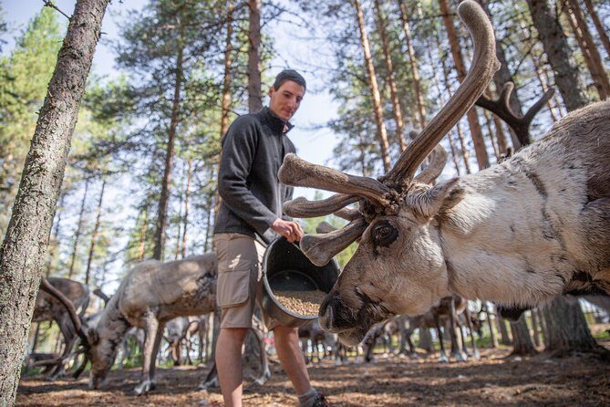 Authentic Reindeer Farm and Canoe Experience from Rovaniemi - Getting there from Rovaniemi: Pickup, timing, and the small-group feel