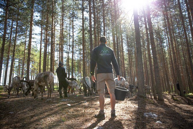 Authentic Reindeer Farm and Canoe Experience from Rovaniemi - Duration and pacing: Does 4 hours feel rushed?