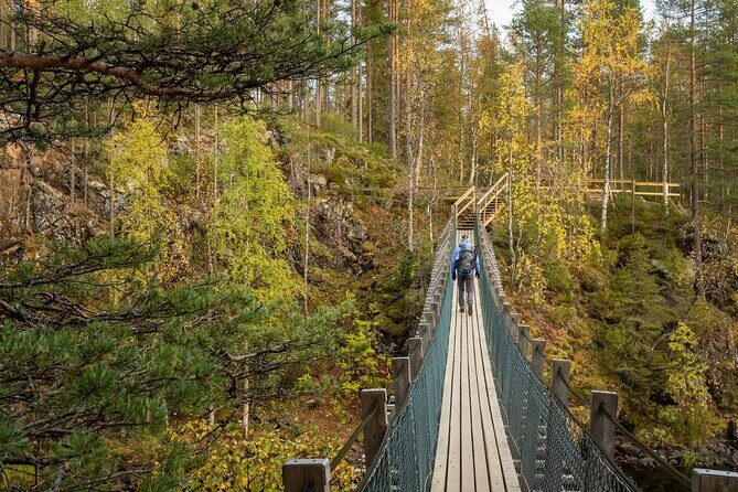 Auttiköngäs Nature Trail - Guides who explain what you’re seeing (Isaac, Tommaso, Lorie)